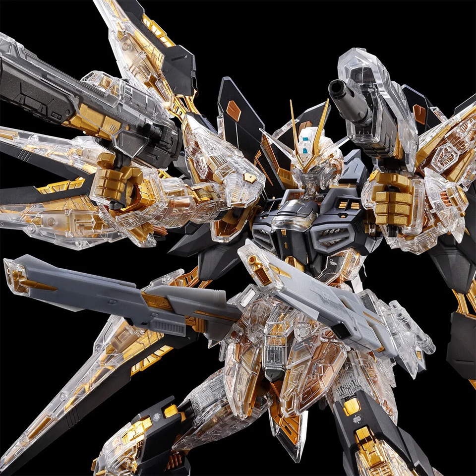 ZGMF-X20A Strike Freedom Gundam [Mechanical Clear]